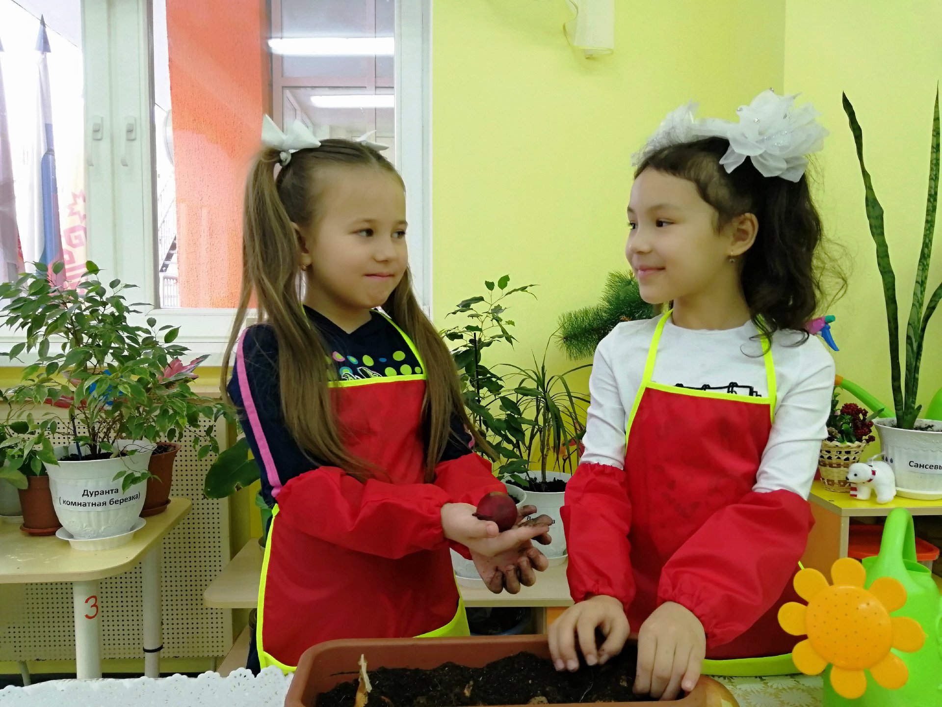 Центр развития ребенка детский сад 8 чебоксары
